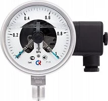 ТМ-521Р.06(0-0,6)MPa.М20х1,5.1,5 ЭКМ исп.VI  СИЛИКОН УТ000015295