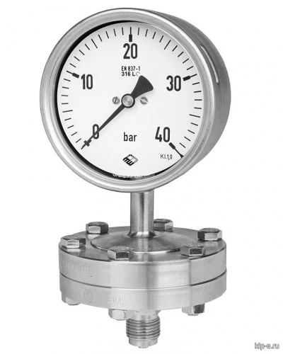 RCh (G) 100-3vDW 6 bar + MDM7910vd8 PN60 G1/2" УТ000003924