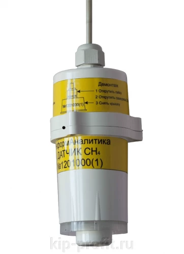 Ока-Т-СI2-И23(с)-/54/50-Д0Т0Ц2-С011 Газоанализатор УТ000015645