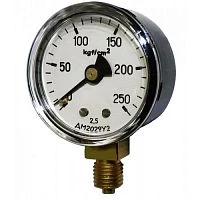 ДМ2029 25 кгс/см2 кл.2,5 М12х1,5 УТ000005370
