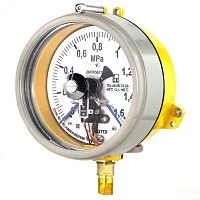 ДМ2005ф Сг1Ехd 100 кПа кл.1,5 исп V УТ000018360
